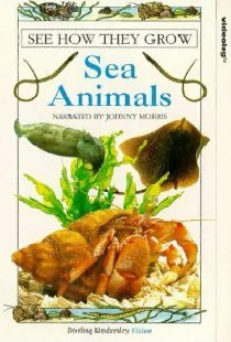 See How They Grow: Sea Animals