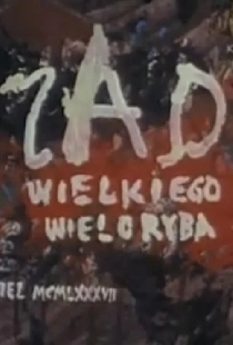 Zad wielkiego wieloryba