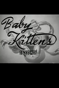 Baby Kittens