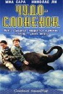 Чудо — слоненок