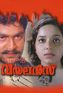 സ്റ്റോപ്പ്‌ വയലൻസ്