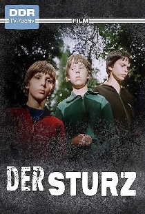 Der Sturz