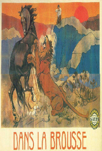Dans la brousse