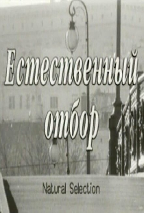 Естественный отбор