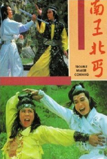 南王北丐