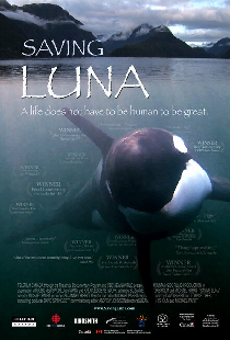 Saving Luna
