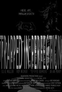 Trapped in Perfection