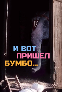 И вот пришел Бумбо...