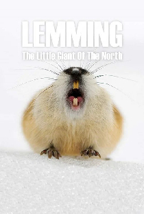 Lemming: The Little Giant of the North