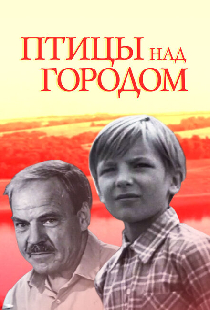 Птицы над городом