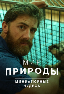 Мир природы. Миниатюрные чудеса