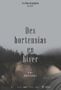Des Hortensias en Hiver
