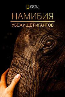 Намибия: убежище гигантов