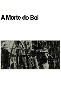 A Morte do Boi