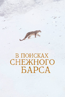 В поисках снежного барса