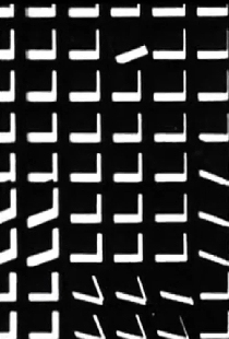 Vasarely