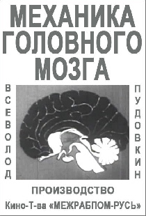 Механика головного мозга