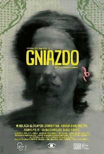 Gniazdo