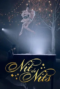 Nit de nits