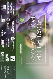 Power for Pollinators