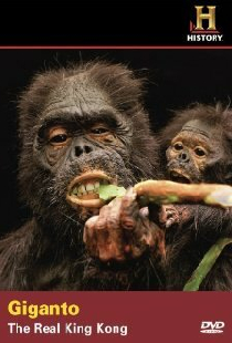 Giganto: The Real King Kong