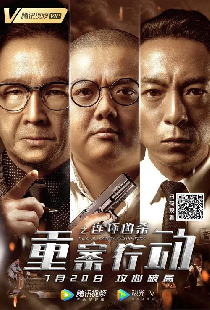 重案行动之连环凶杀