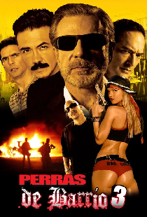 Perras de barrio 3