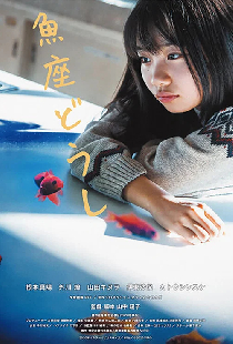 魚座どうし