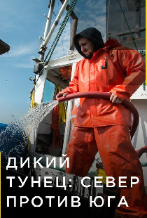 Дикий тунец: Север против Юга