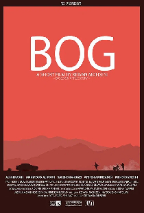 Bog