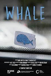 Whale