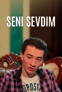 Seni sevdim