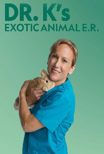 Dr. K's Exotic Animal ER