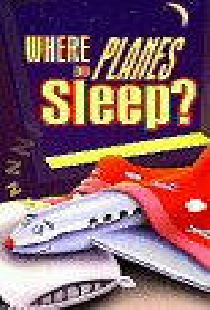 Where Do Planes Sleep?
