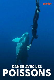 Danse avec les poissons
