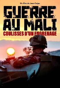 Guerre au Mali : coulisses d'un engrenage