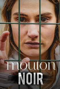 Mouton noir
