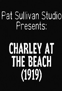 Charley at the Beach