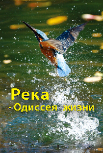 Река — одиссея жизни