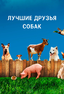 Лучшие друзья собак