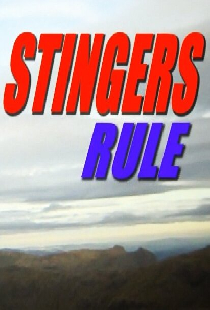 Stingers Rule!