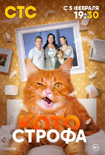 Котострофа