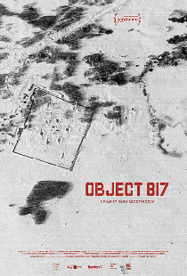 Объект 817
