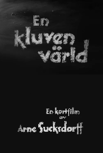 En kluven värld
