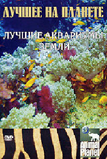 Animal Planet: Лучшее на планете. Лучшие аквариумы земли