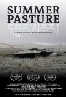 Summer Pasture