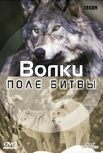 BBC: Поле битвы