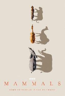 Mammals