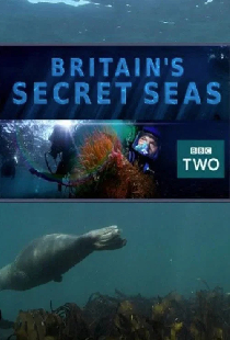 История моря