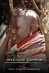 The Wedding Camels